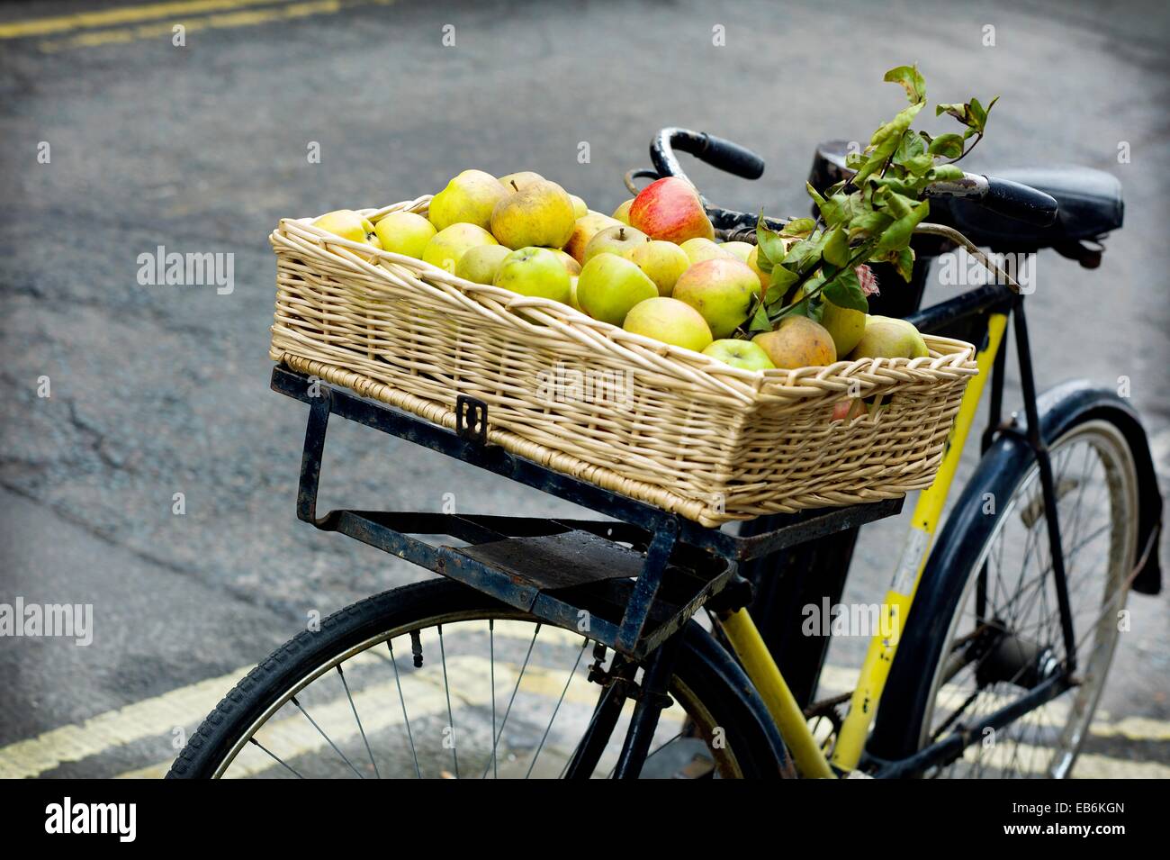 bike delivery basket