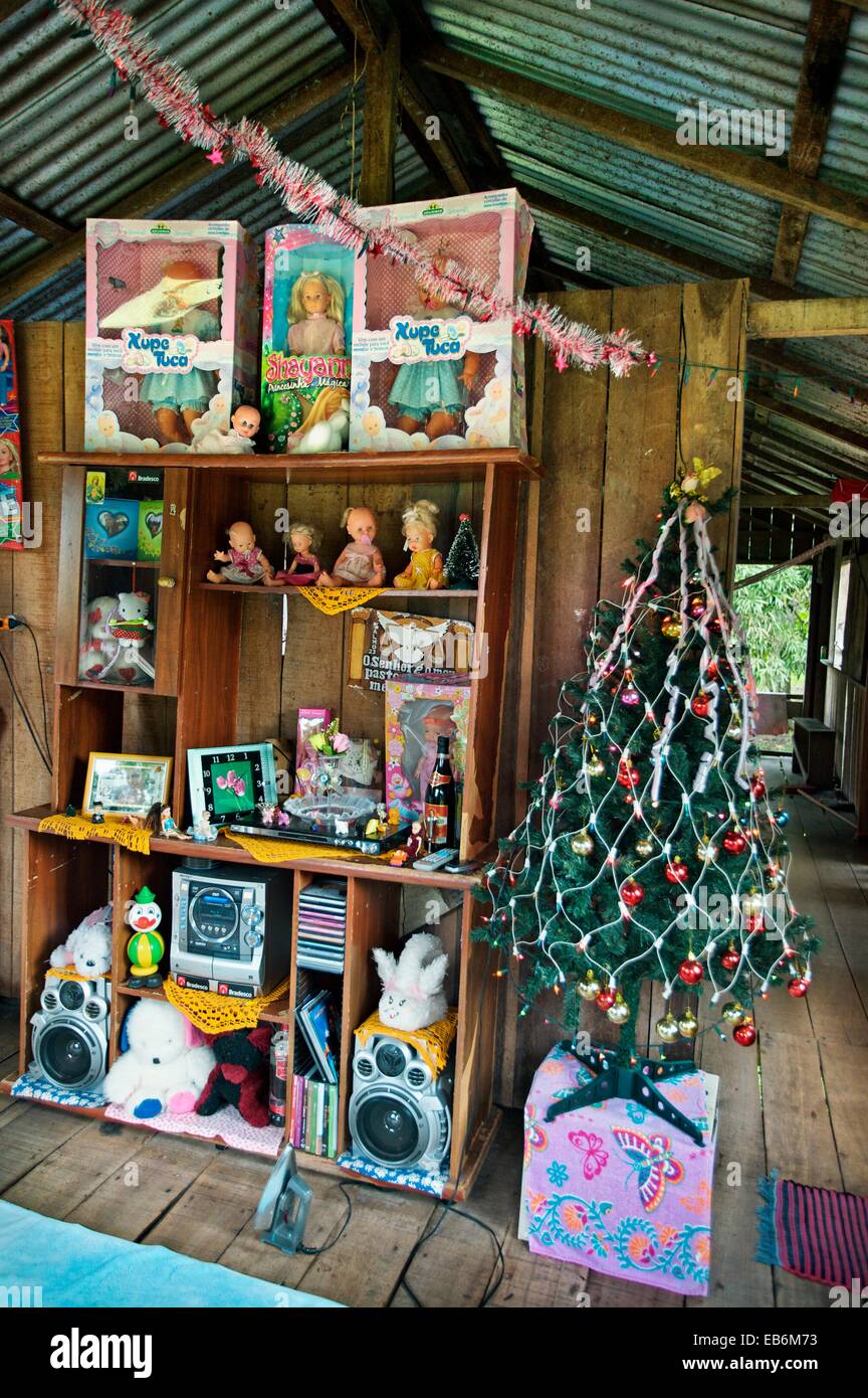 House with a christmas tree, Manaus Amazonas state, the Amazon, Brazil