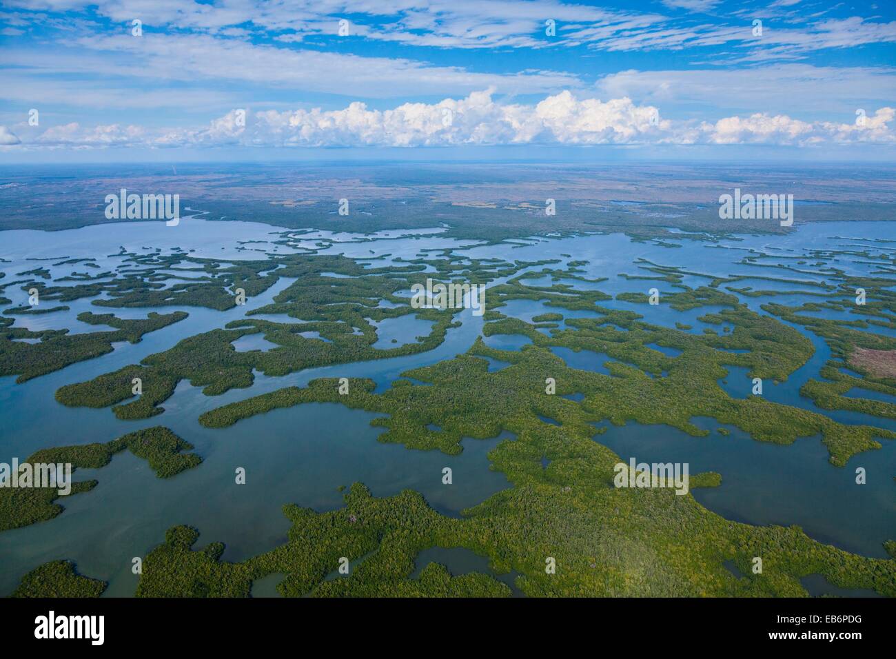 Aerial view, Everglades National Park, Florida, USA Stock Photo - Alamy