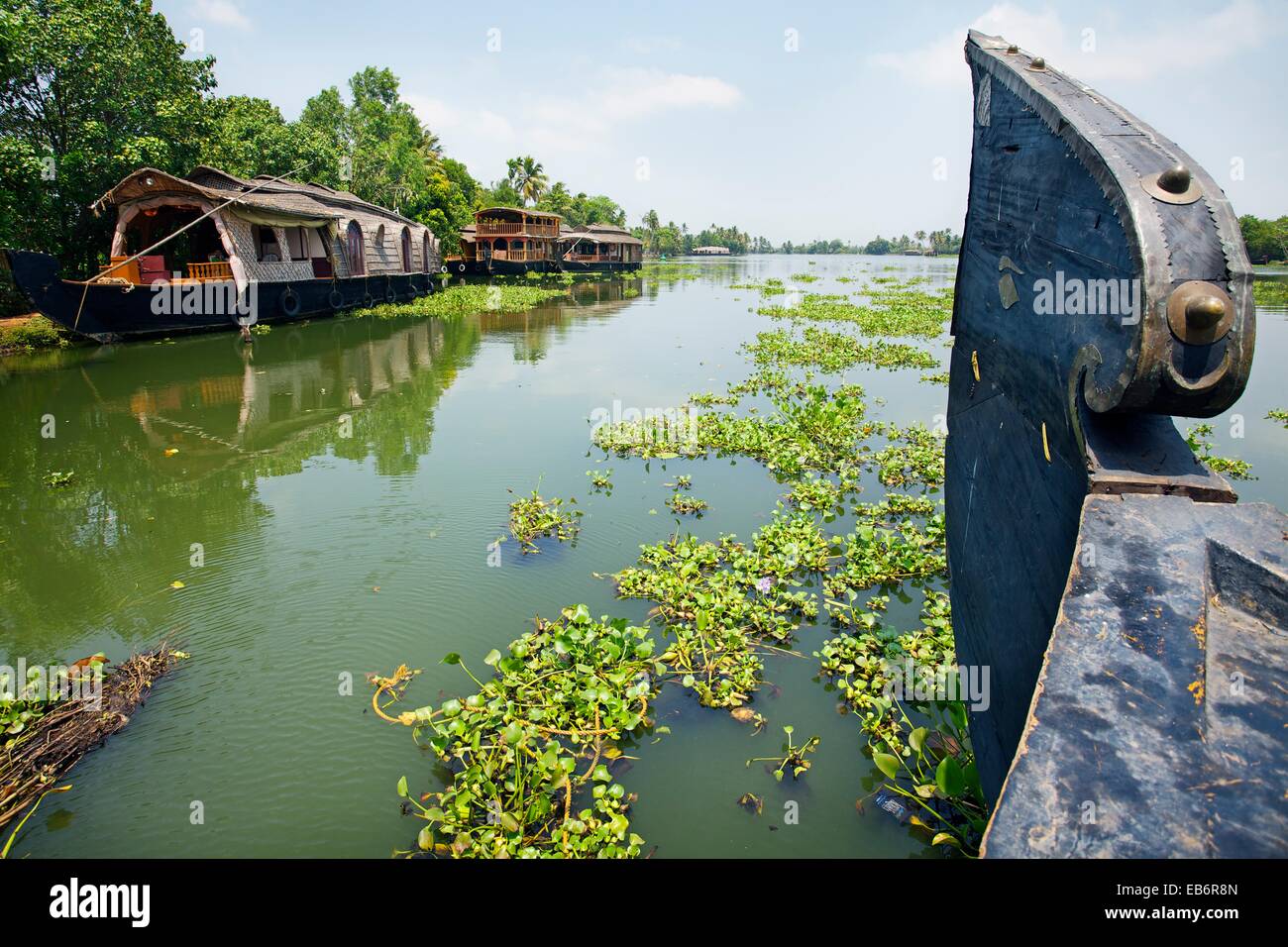 House boat, Backwaters, Alleppey, Kerala, India Stock Photo - Alamy