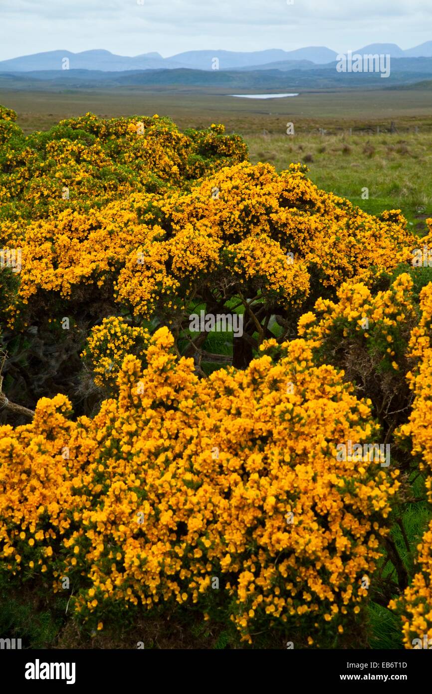 Achmore hires stock photography and images Alamy