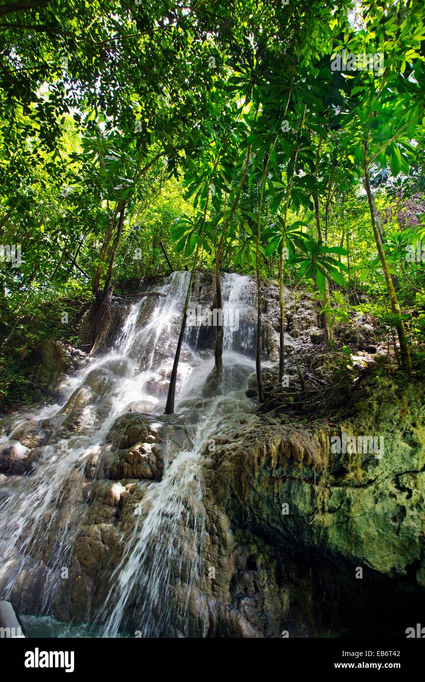 Somerset Falls, near Hope bay, Jamaica, West Indies, Caribbean, Central