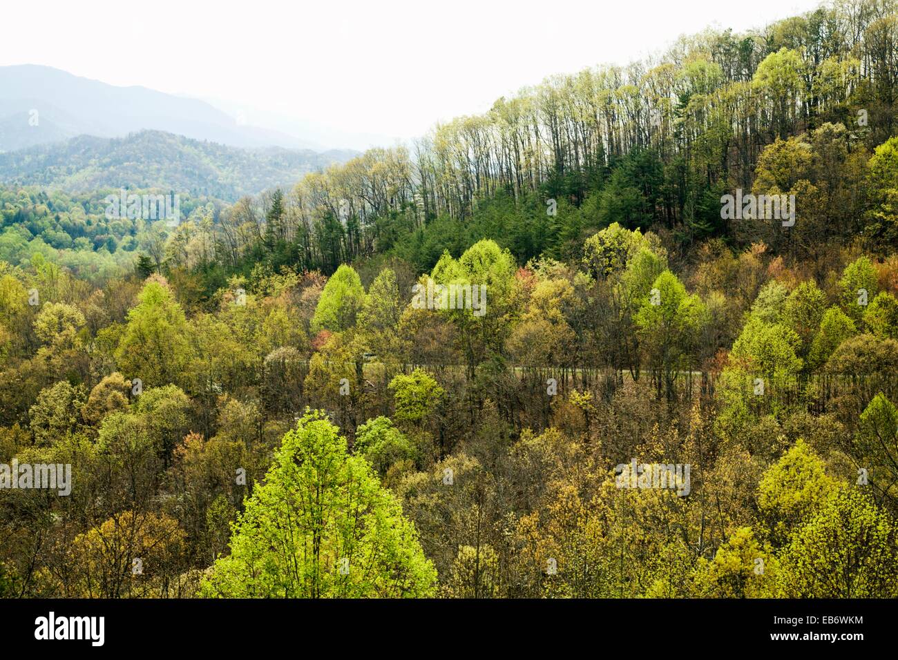 Foothills Parkway, East Tennessee Stock Photo Alamy