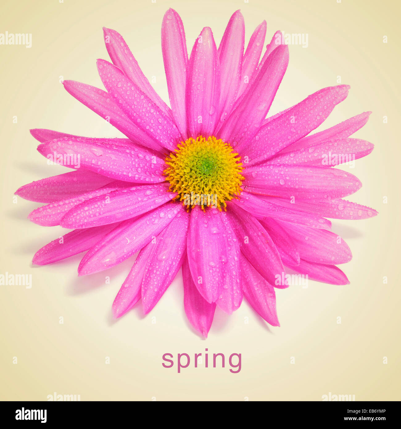 Word spring written in vintage hires stock photography and images Alamy