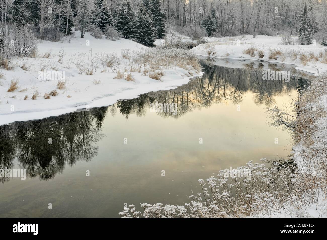 Shoreline of Junction Creek in early winter, Greater Sudbury Lively