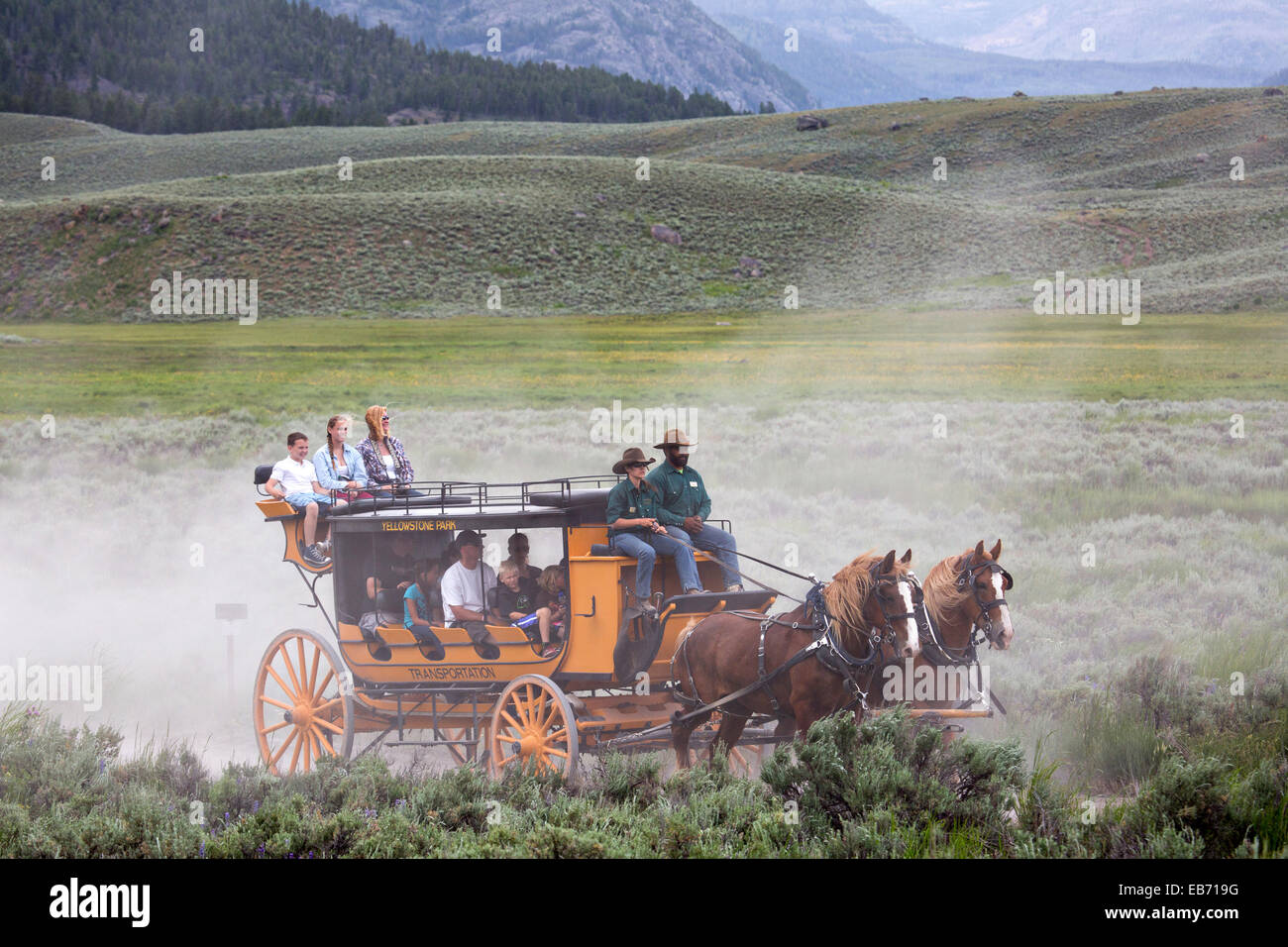 Tourists ride in an old fashion western stagecoach from Roosevelt Lodge at Yellowstone National Park July 3, 2014 in Wyoming. Stock Photo