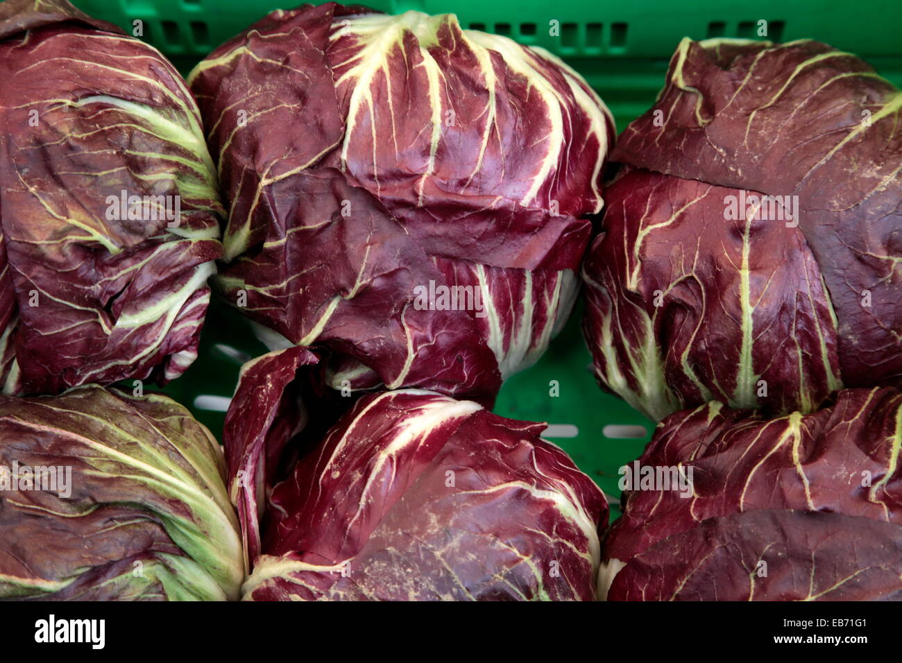 A pile of fresh, ripe red cabbage (Brassica oleracea) Stock Photo