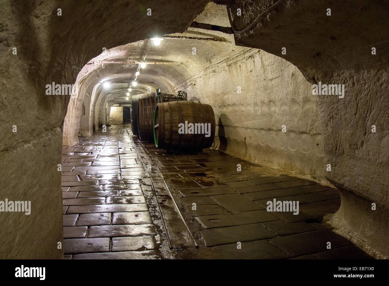 Czech Republic: The cellars of Pilsner Urquell brewery, Pilsen. Photo from 8. November 2014 Stock Photo