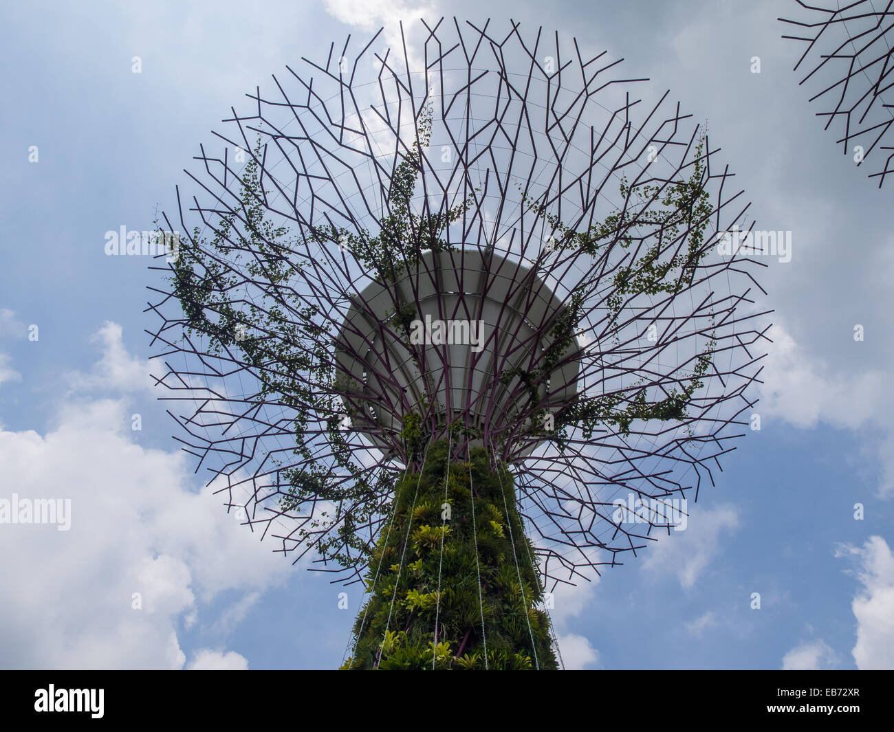 Amazing Tree Sculpture at Gardens by the Bay, Singapore Stock Photo Alamy