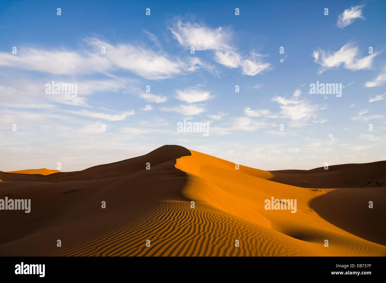 SAND DUNES SAHARA DESERT ERG CHIGAGA MOROCCO Stock Photo