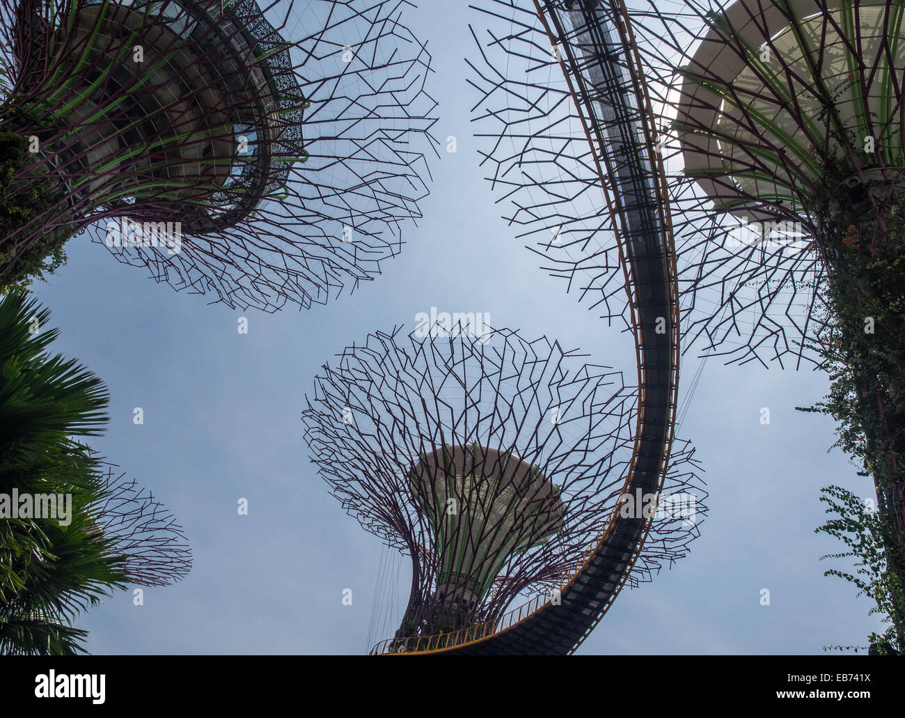 Tree sculptures at Gardens by the Bay, Singapore Stock Photo Alamy