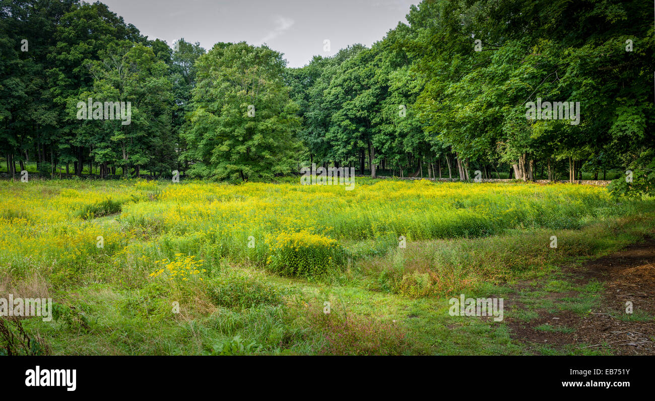 COUNTRYSIDE REDDING CONNECTICUT Stock Photo Alamy