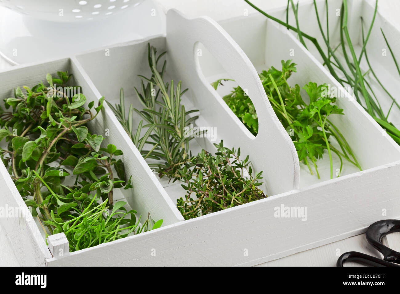 Fresh cut garden herbs (marjoram, cress, rosemary, thyme, parsley