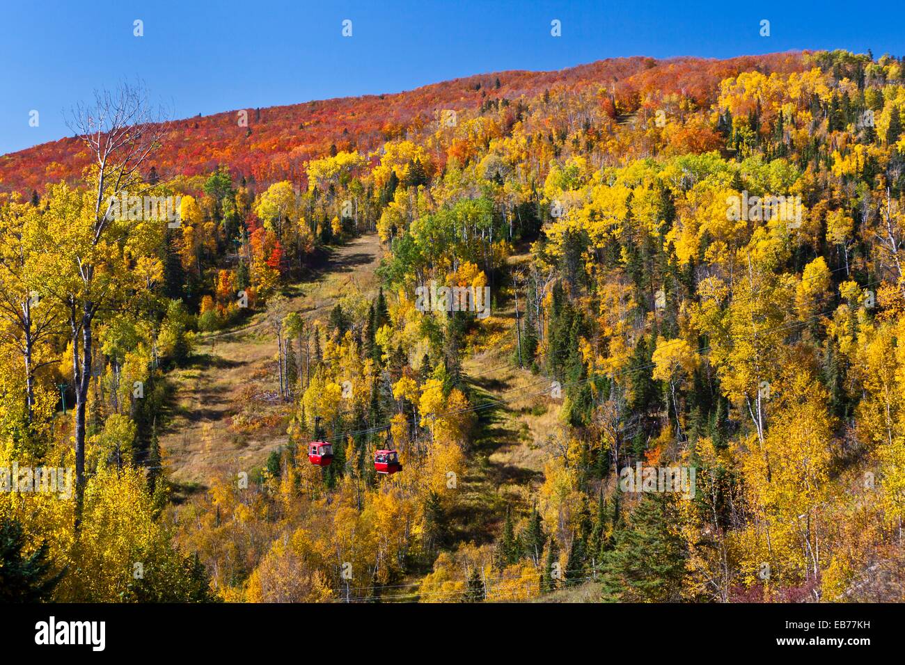 Fall foliage color in the Lutsen Mountains near the Lutsen Mountain