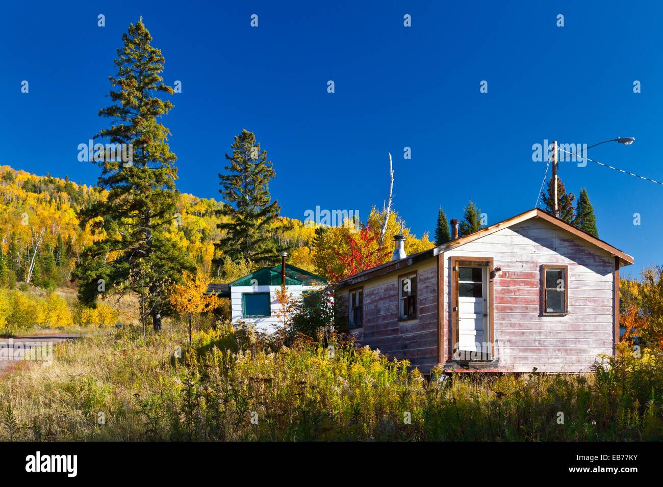 Fall foliage color along the Gunflint Trail near Grand Marais