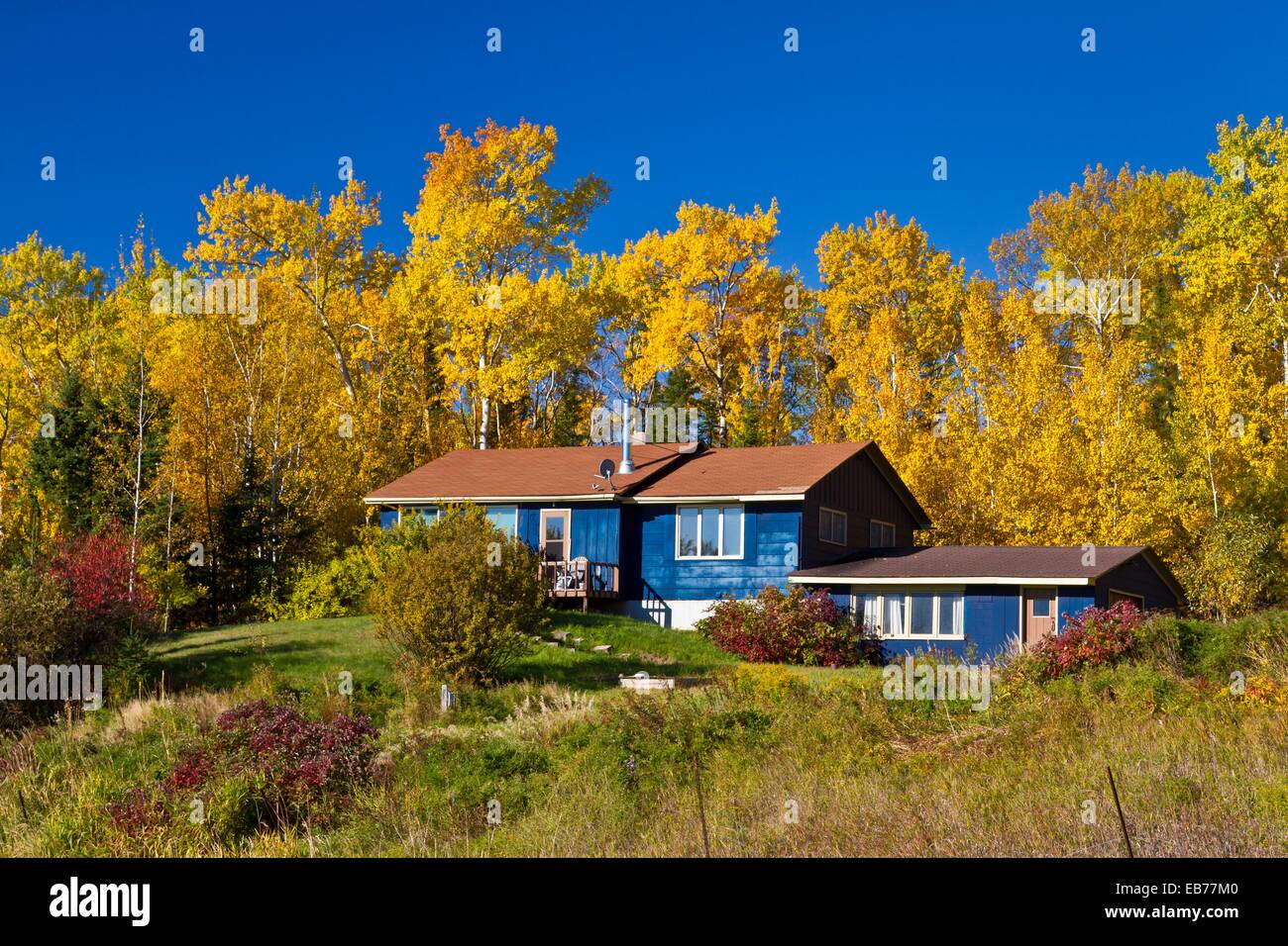 Fall foliage color along the Gunflint Trail near Grand Marais