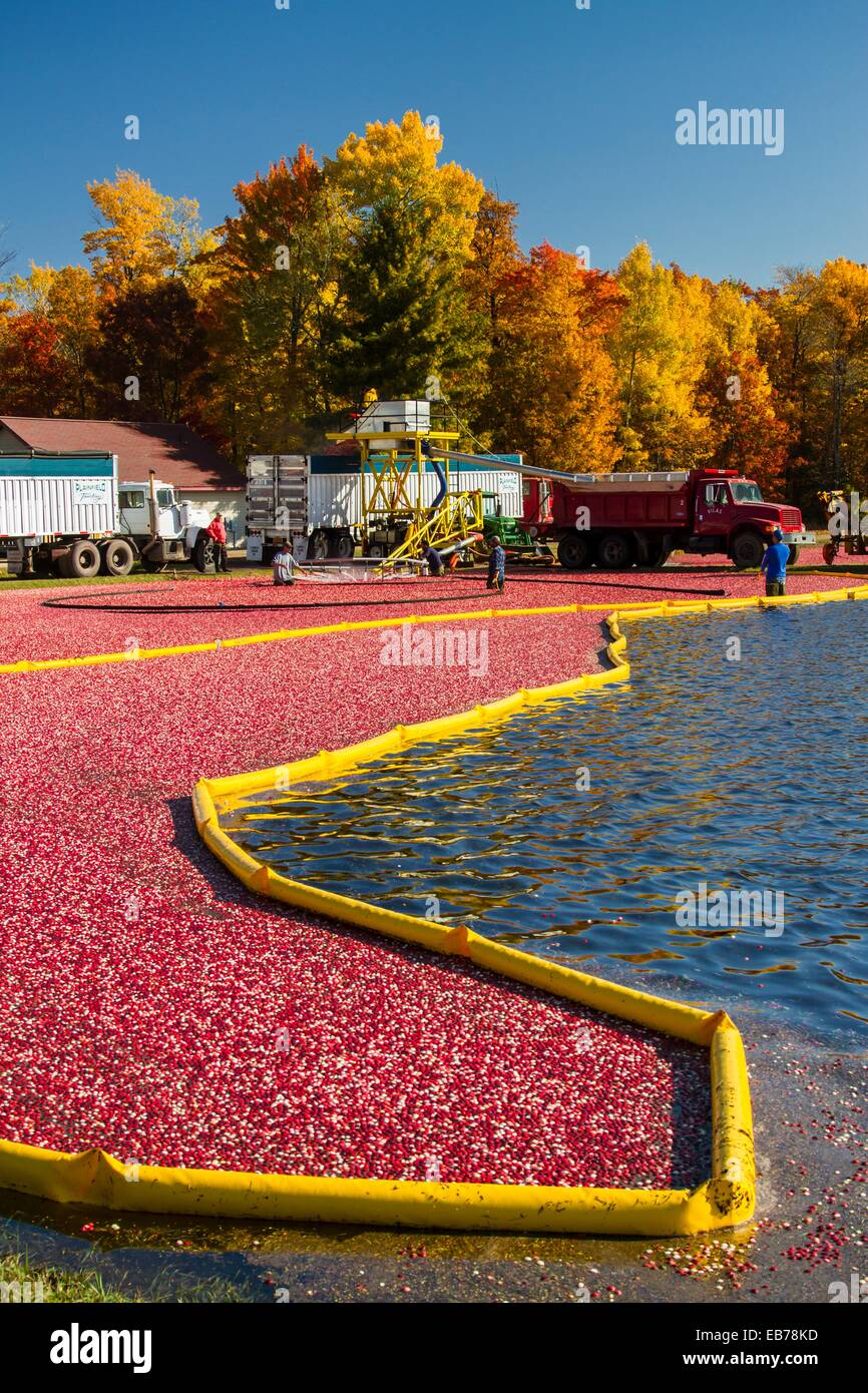 Manitowish waters hires stock photography and images Alamy