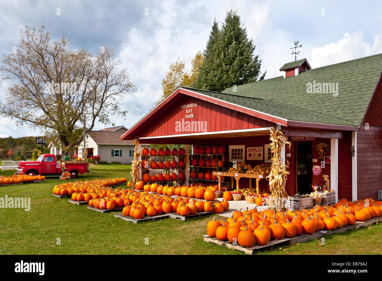 Pumpkins For Sale And Displayed At The Sturgeon Pumpkin Barn Farm
