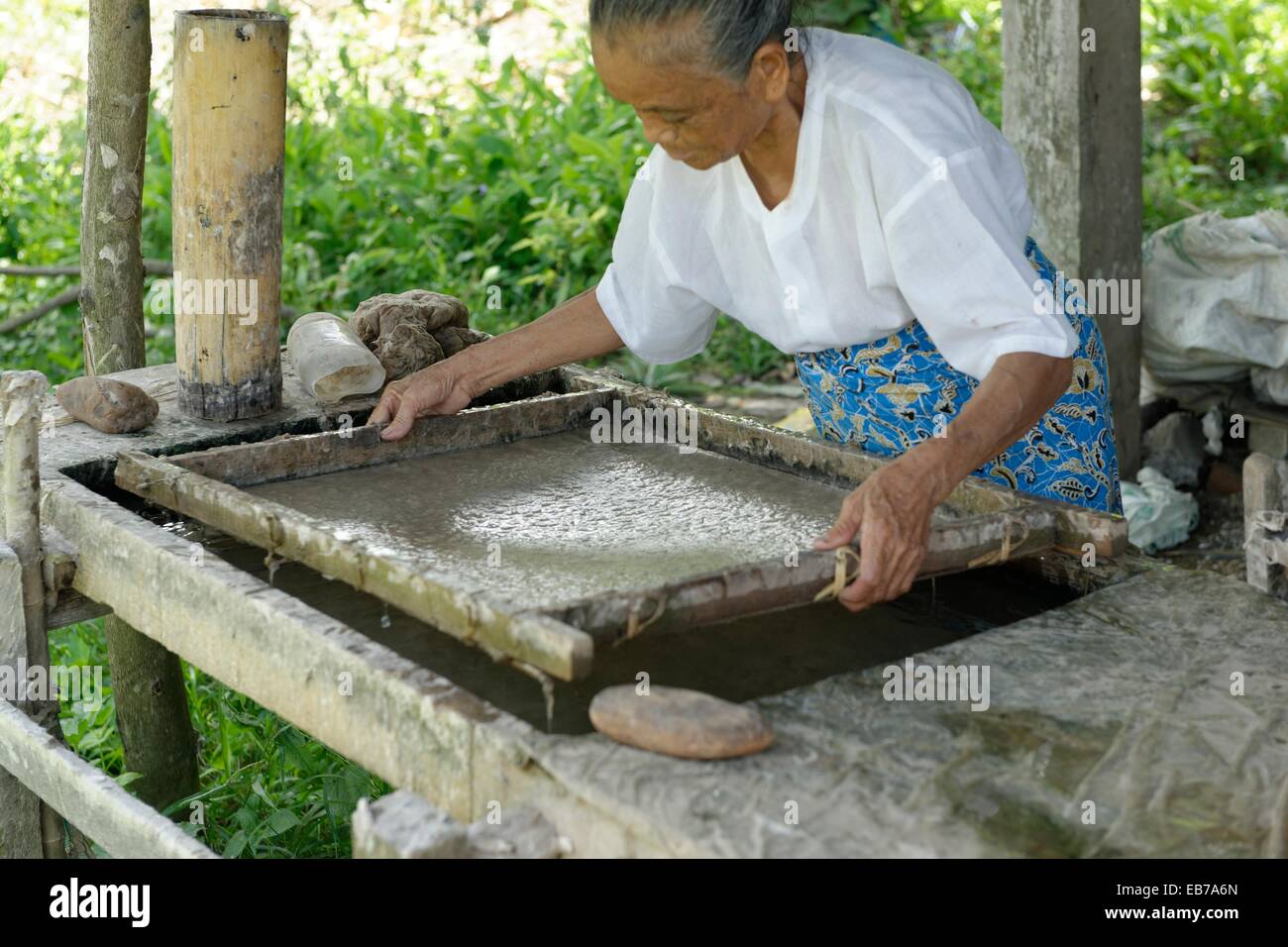 Paper bark tree hires stock photography and images Alamy