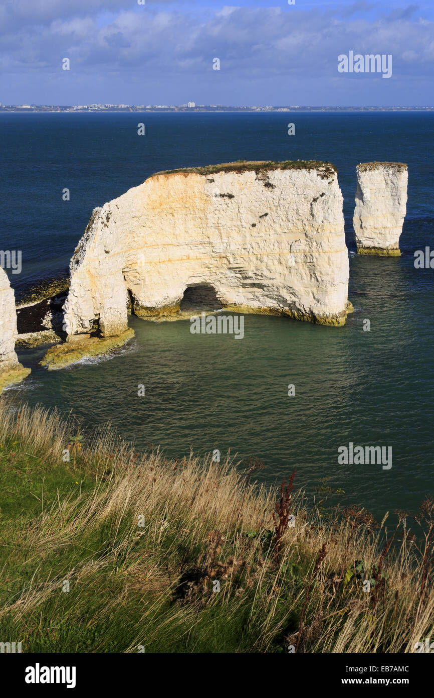 Jurassic Coast, Dorset, England. Stock Photo
