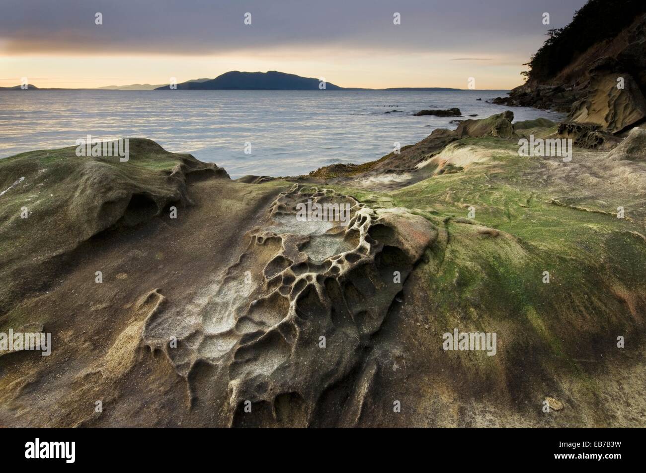 Clayton Beach, Larrabee State park Washington Stock Photo Alamy