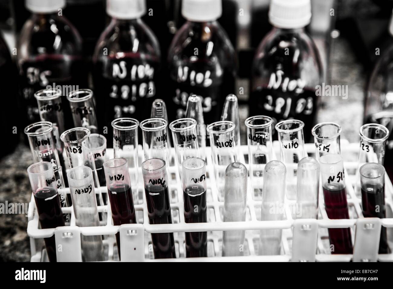 Lab in a wine cellar Winemaking in the largest wine region of Catalonia