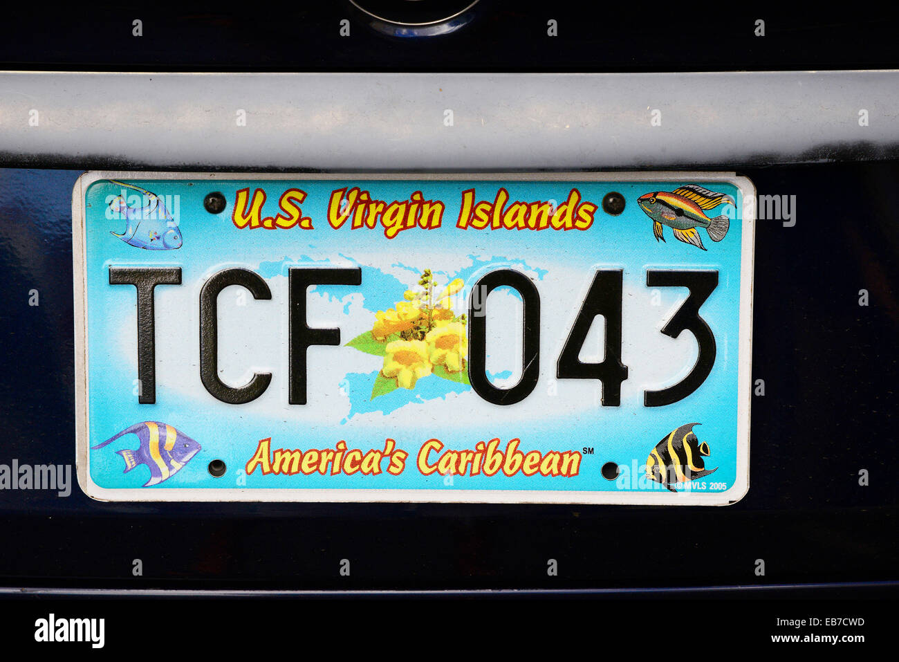 License Plate USVI US Virgin Islands Territory Caribbean Island Stock