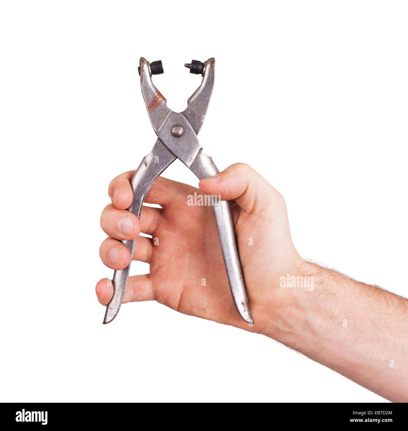 Eyelet plier for punch paper on white background Stock Photo