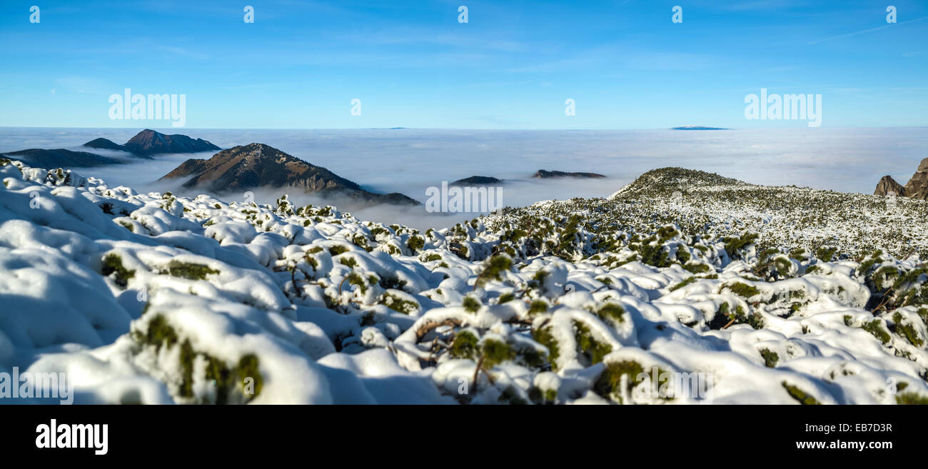 Mountains above clouds - Tatra Mountains in Poland Stock Photo - Alamy