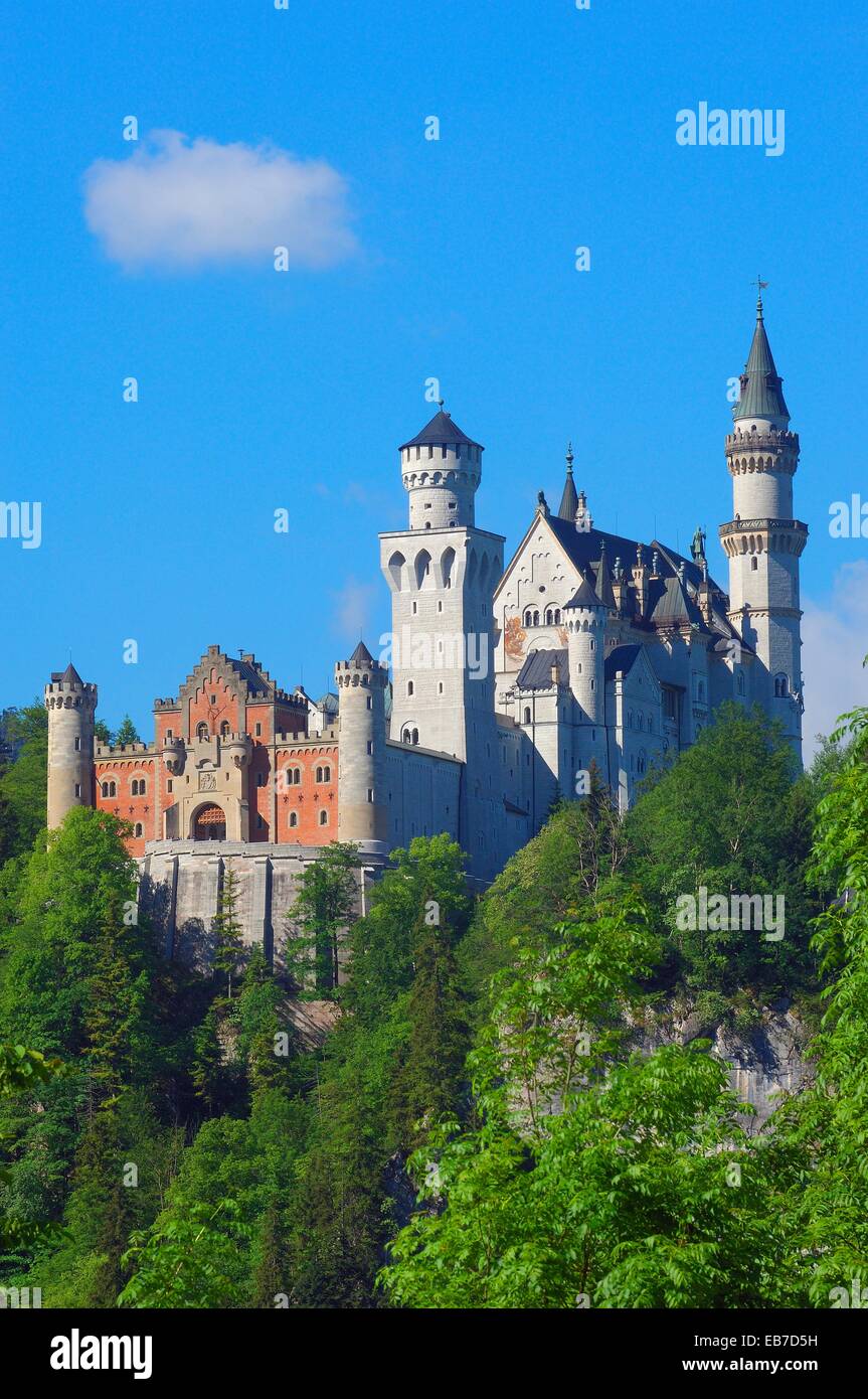 Neuschwanstein Castle Fussen Allgaeu Romantic Road Bavaria Germany Europe Stock Photo Alamy