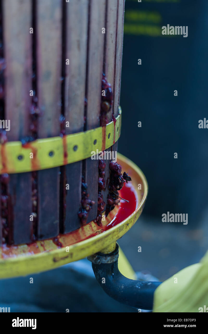 Traditional wine making process Stock Photo Alamy