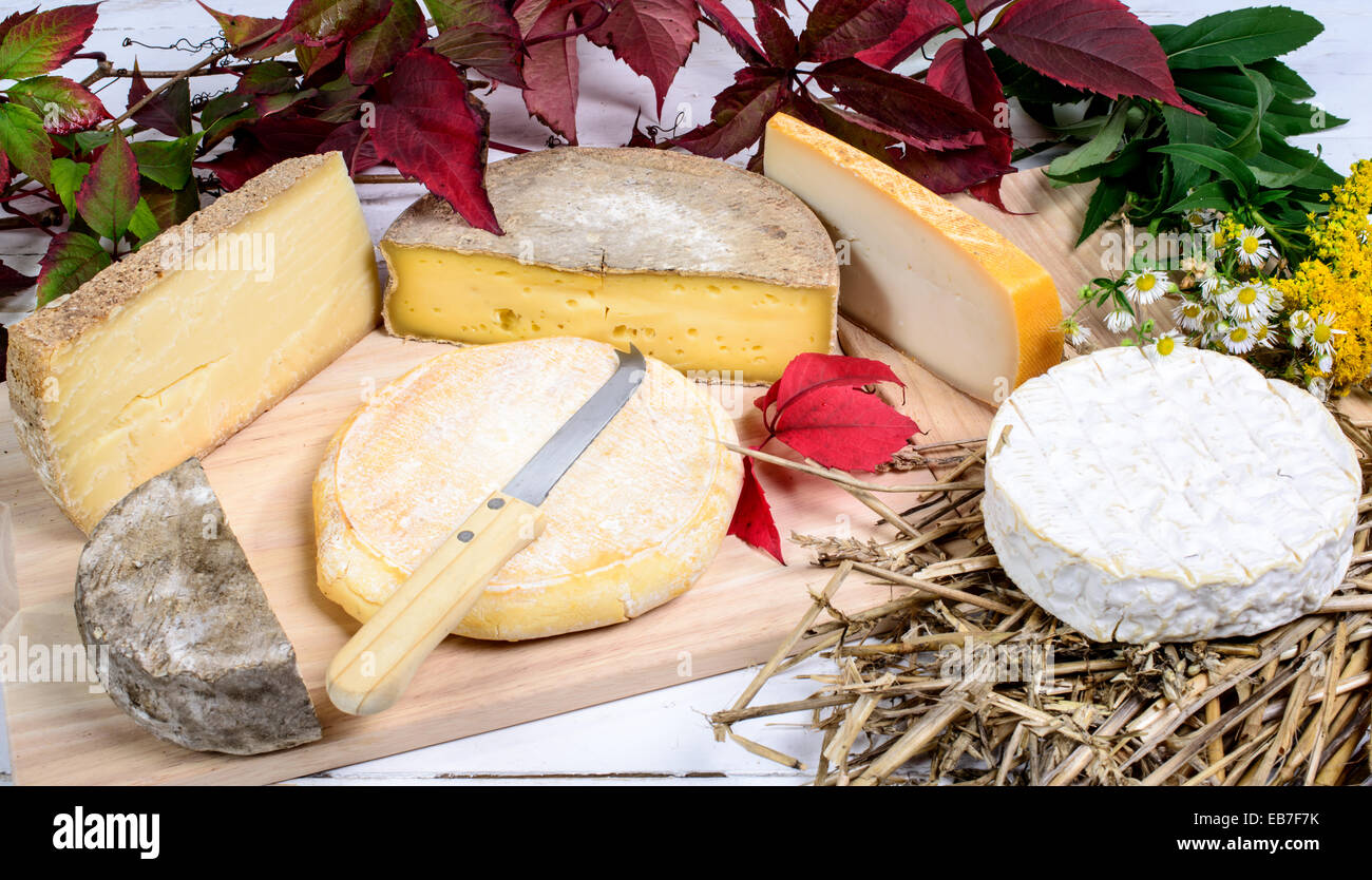 different french cheeses produced in the Alps mountains Stock Photo Alamy