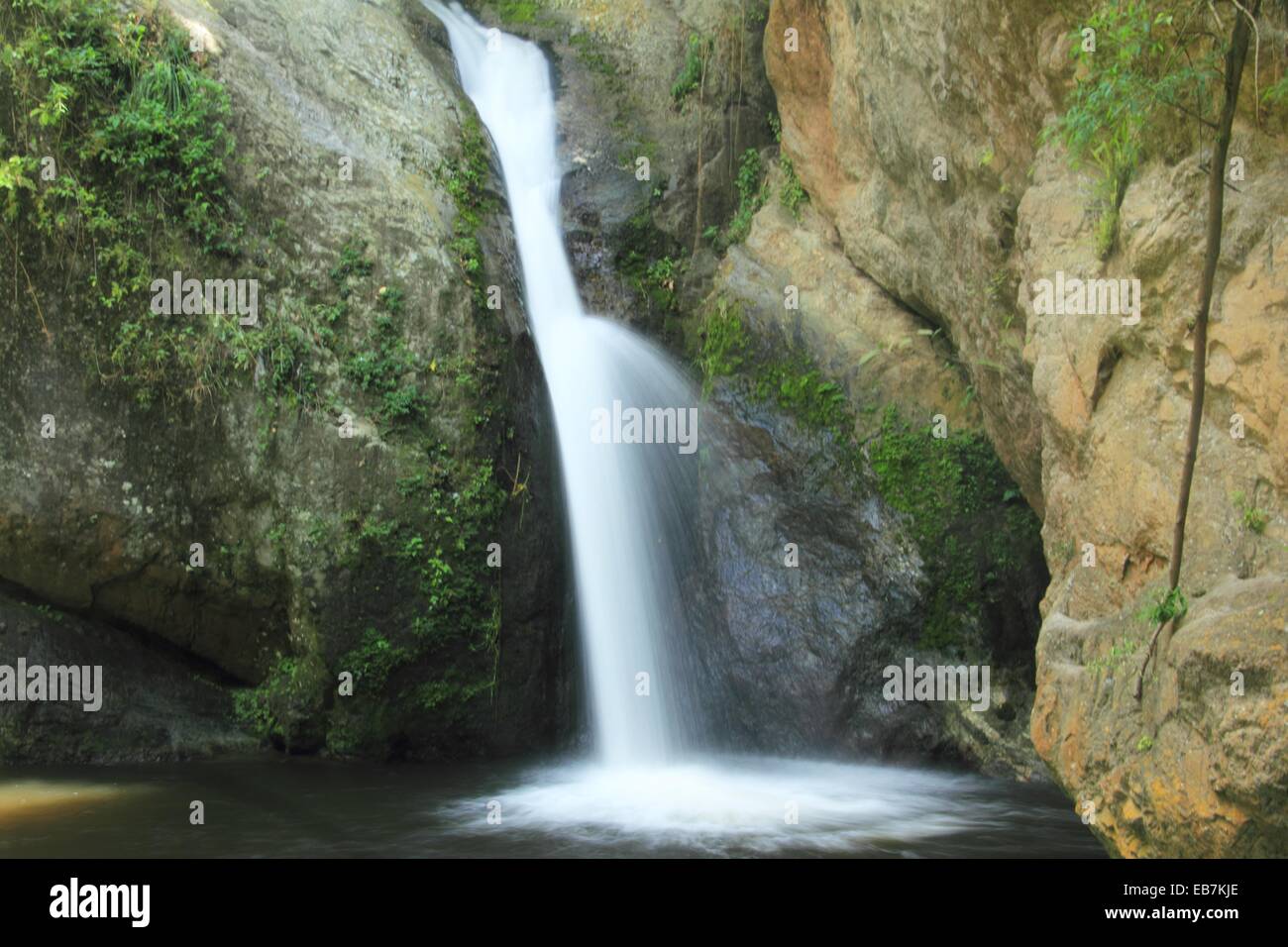 Los Chorros Park Caracas Stock Photo Alamy