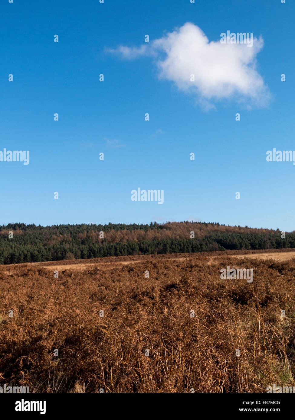 landscape near Matlock, Derbyshire, Britain Stock Photo Alamy