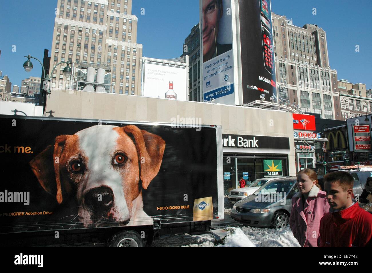 New York City sign for dogs’ adoption outside the Madison Square Garden