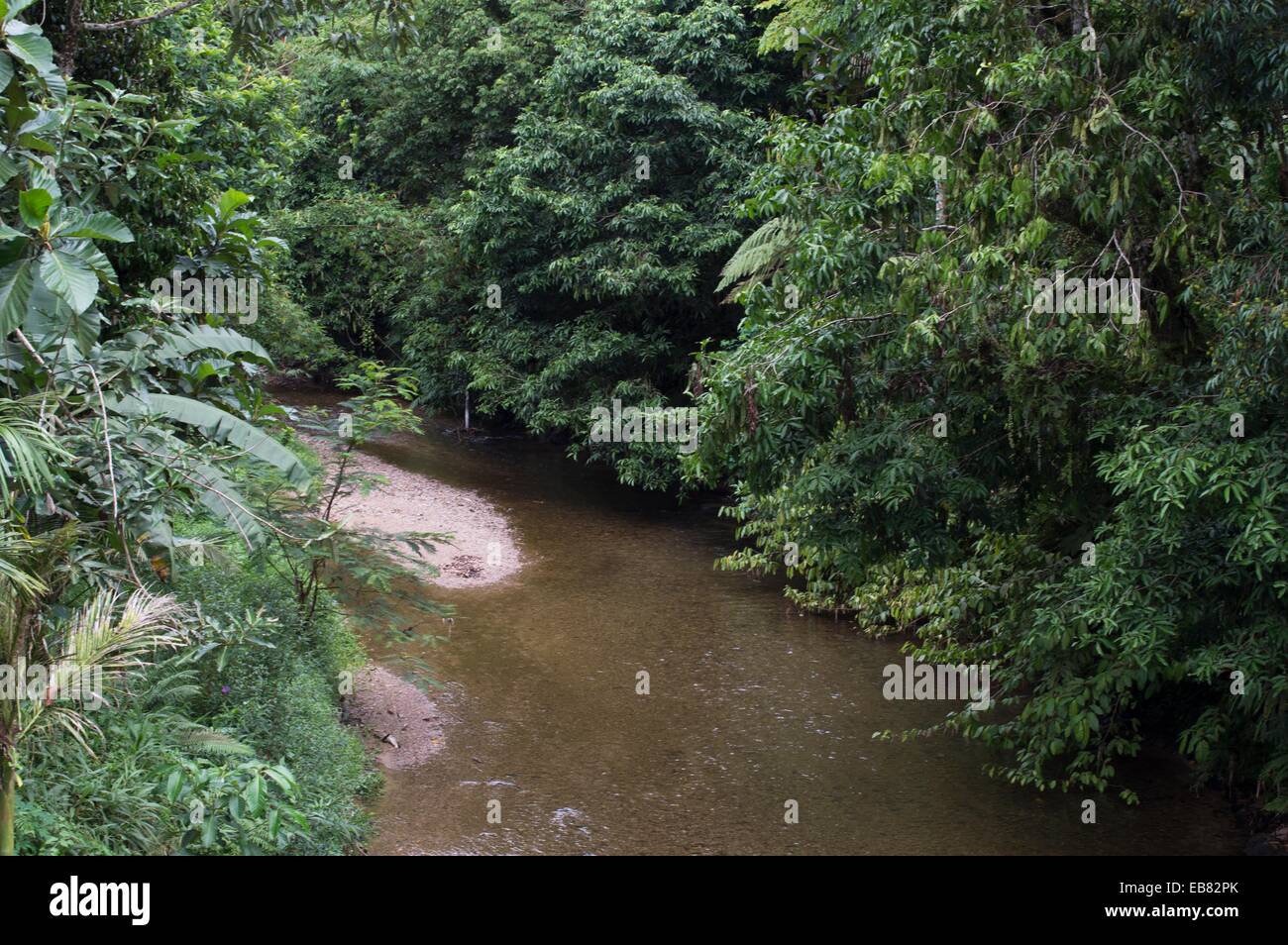 Annah Rais hot spring, Sarawak, Malaysia Stock Photo - Alamy