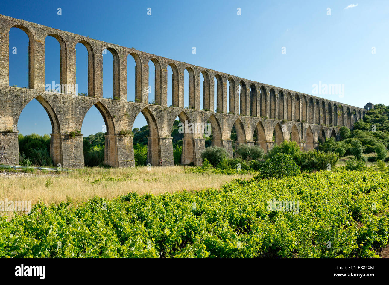 aqueduct at Tomar, Ribatejo, Central Portugal, seen over vineyards Stock Photo