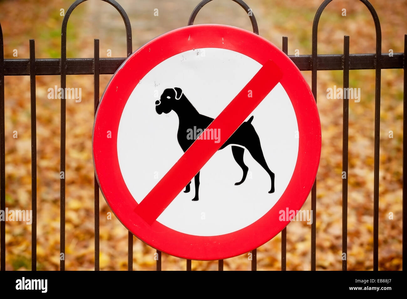 No dogs allowed sign on a fence at a park entrance Stock Photo