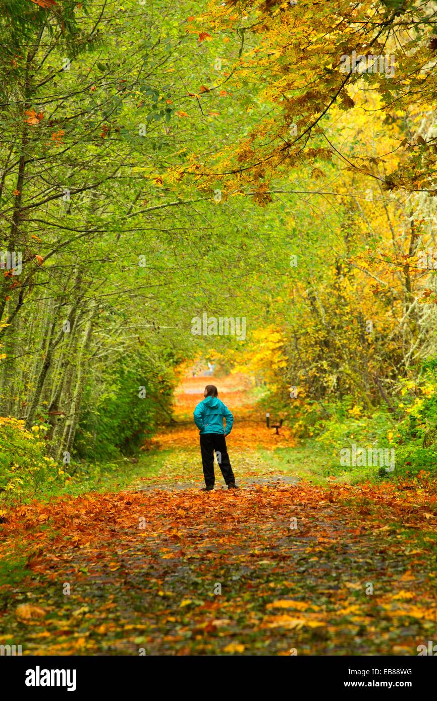 Rail trail, ChehalisWestern Trail, Thurston County, Washington Stock
