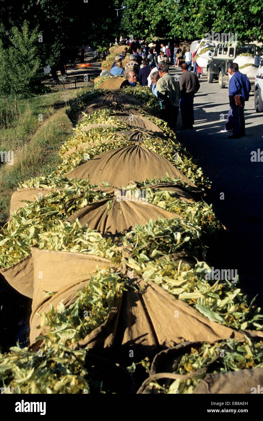 Buis les baronnies festival hires stock photography and images Alamy