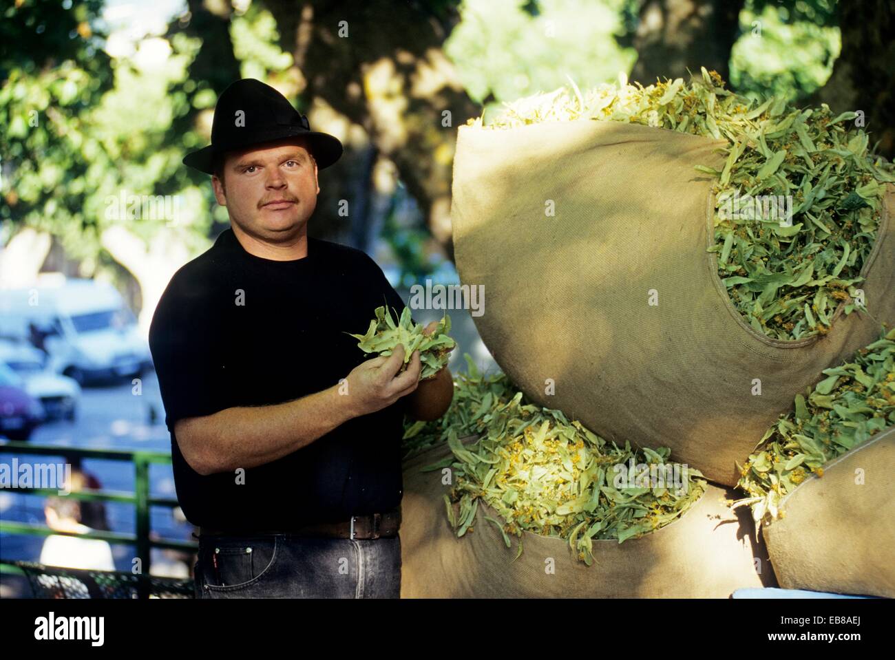 Buis les baronnies festival hires stock photography and images Alamy