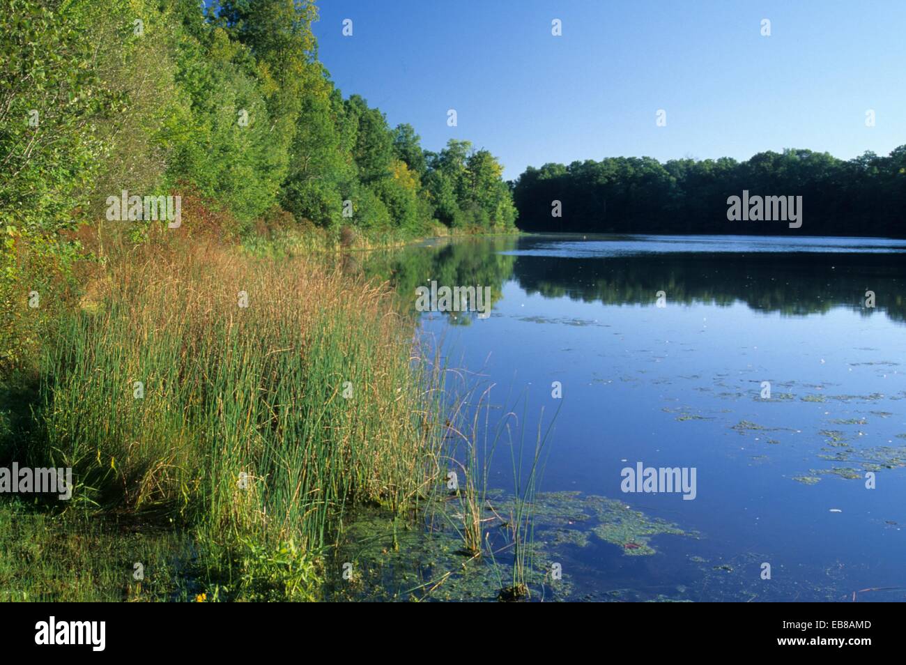 Lower Pond, AW Stanley Park, New Britain, Connecticut Stock Photo