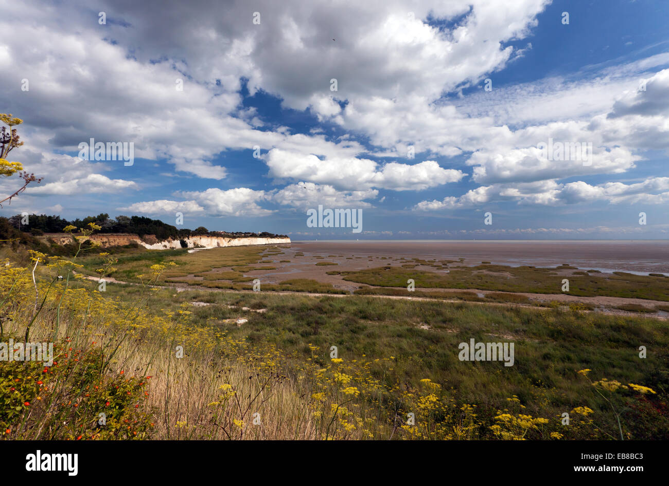 Wide-angle view of Pegwell Bay Nature Reserve, Kent Stock Photo