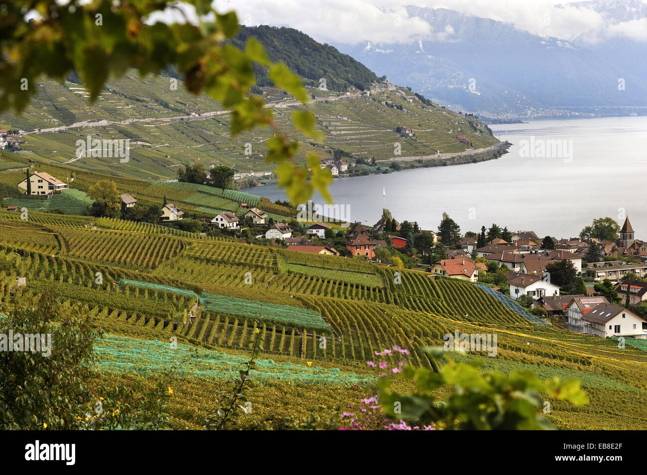 Village cully lake geneva switzerland hires stock photography and