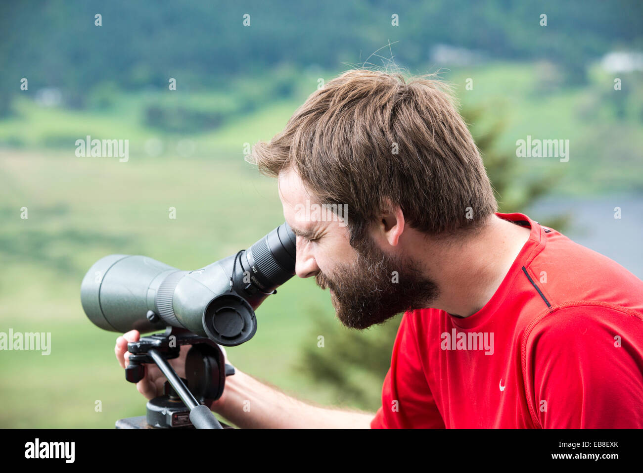 Tourists watching Ospreys at the Lake district Osprey Project, UK. Stock Photo