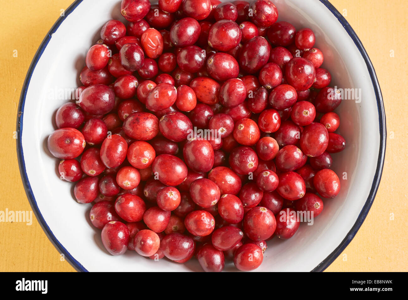 fresh cranberries Stock Photo