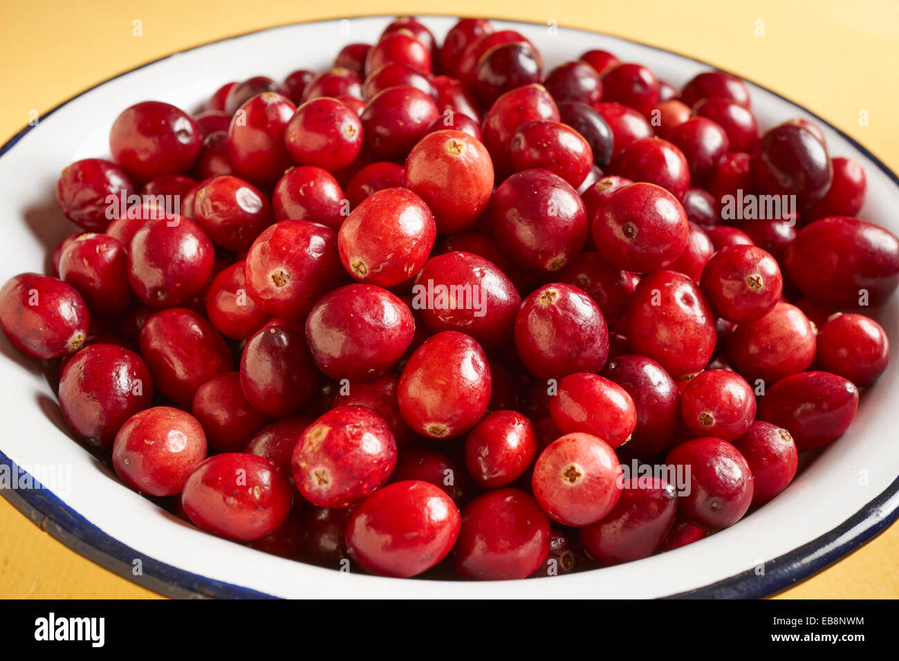 fresh cranberries Stock Photo