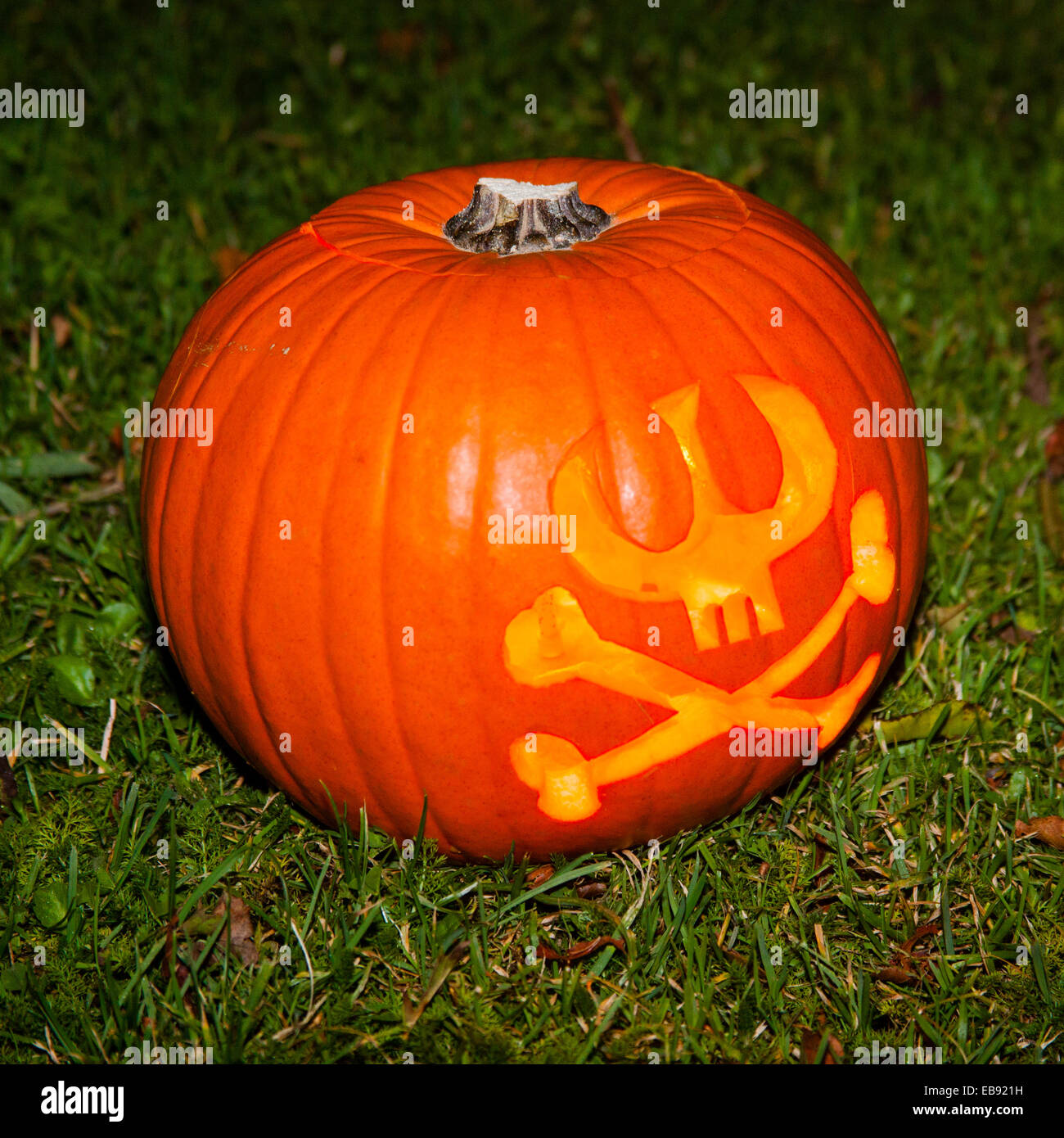 Halloween pumpkin lantern outside on a grass lawn Stock Photo - Alamy