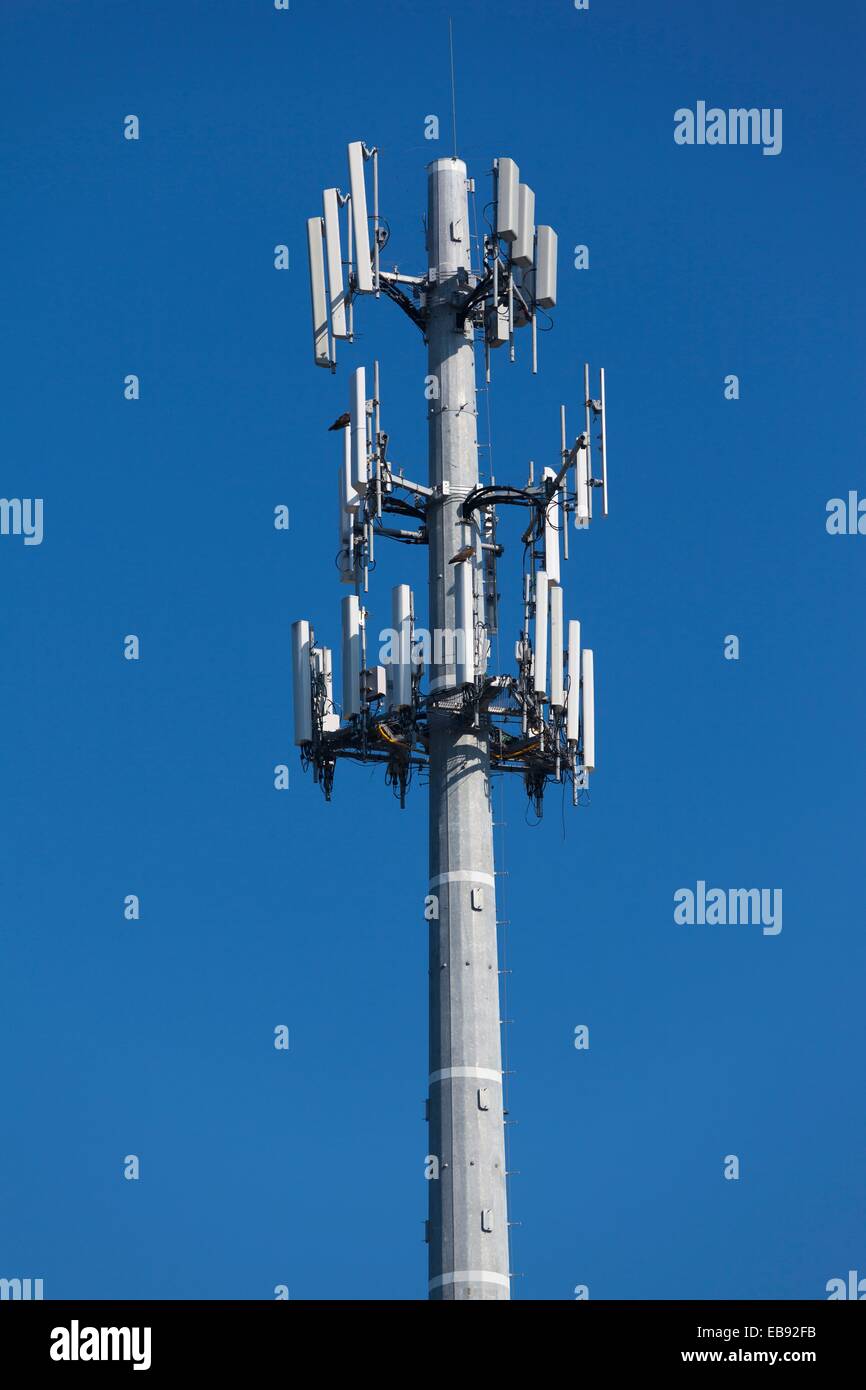 Cell phone tower Stock Photo Alamy