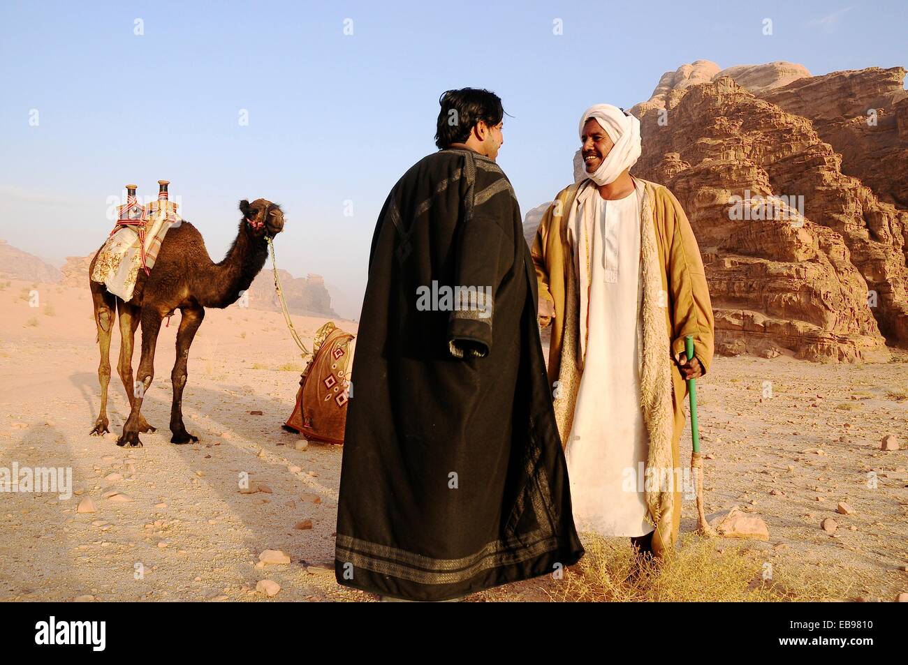 Mål Dekorative Lave om Beduin men with their camels, Wadi Rum desert, Jordan, Middle East Stock  Photo - Alamy